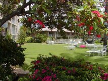 maui honeymoon